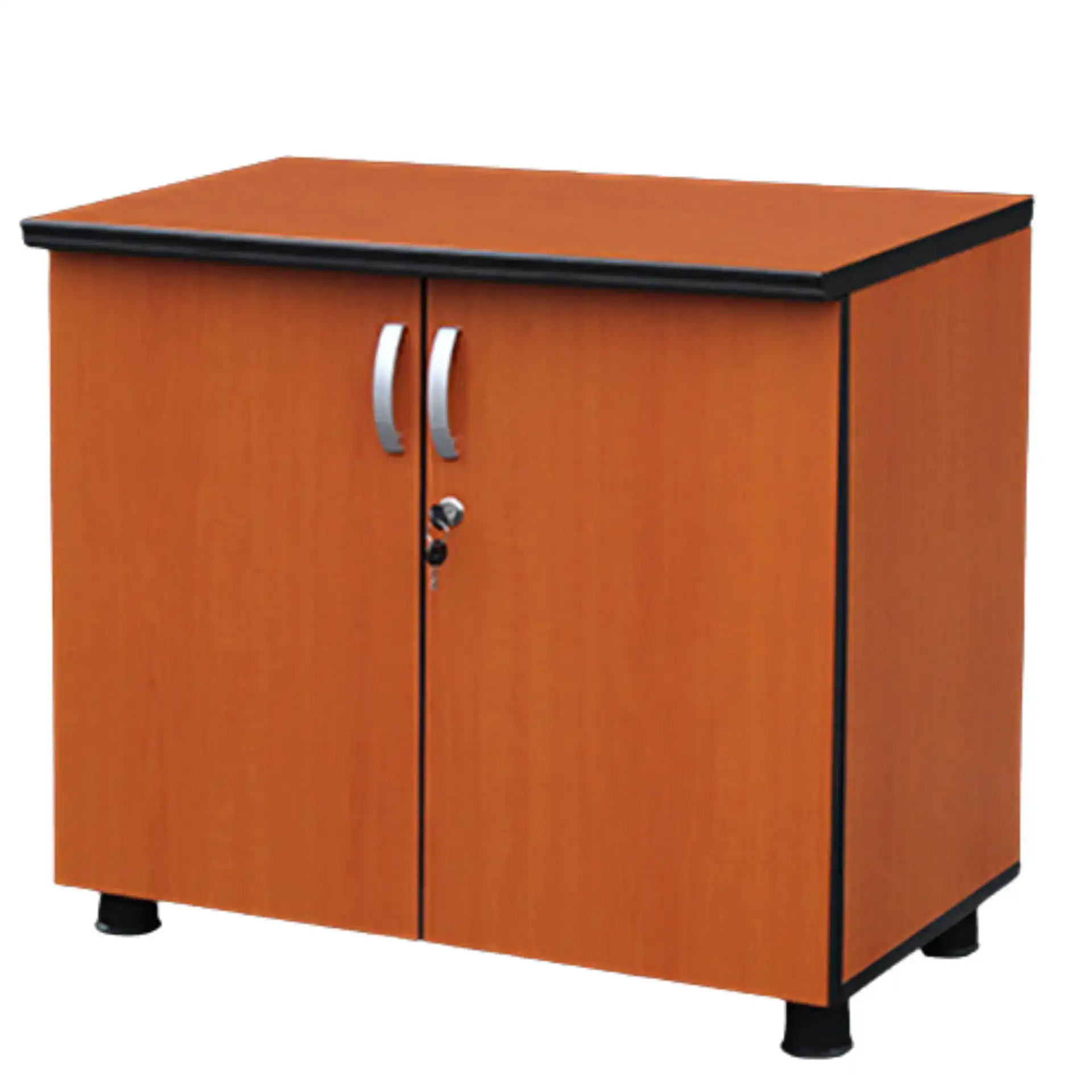 A light wood cabinet with two doors, silver handles, and a lock.