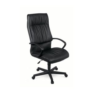 Falcon high back office chair with swivel and tilt mechanism, gas height adjustment and nylon base