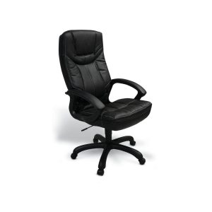 Mustang high back office chair with swivel and tilt mechanism, gas height adjustment and padded C armrests