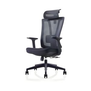 C4005 black mesh high back ergonomic chair with adjustable headrest and nylon base